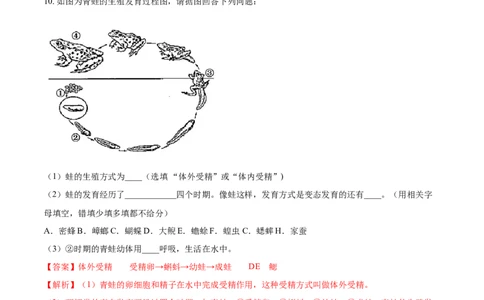 7.1.3两栖动物的生殖和发育（基础练）-（人教版）（解析版）_初中全科电子版试卷练习试题_生物_生物8下练习_人教生物8年级下课时练习51份