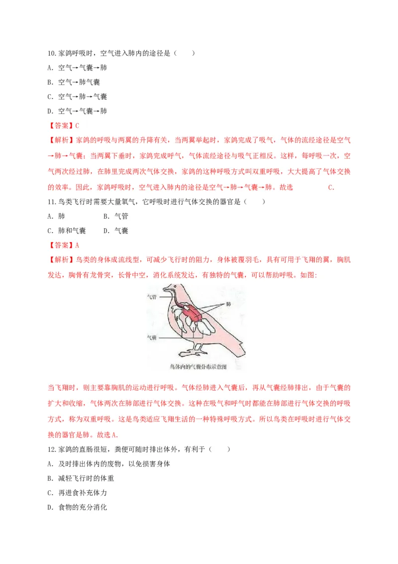 5.1.6鸟（备作业）-（人教版）（解析版）_初中全科电子版试卷练习试题_生物_生物8上练习_人教生物8年级上课时练习37份_第2套八年级生物上册课时练习（人教版）21份