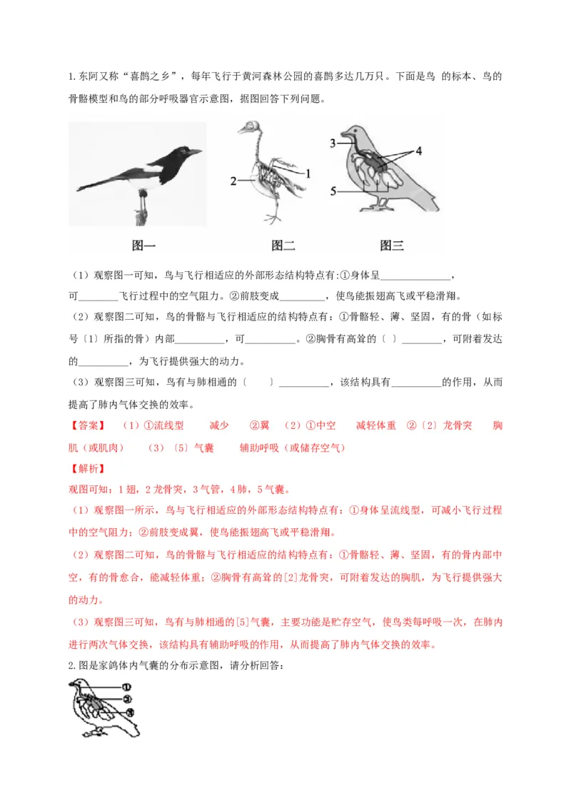5.1.6鸟（备作业）-（人教版）（解析版）_初中全科电子版试卷练习试题_生物_生物8上练习_人教生物8年级上课时练习37份_第2套八年级生物上册课时练习（人教版）21份