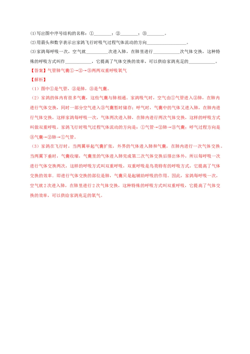 5.1.6鸟（备作业）-（人教版）（解析版）_初中全科电子版试卷练习试题_生物_生物8上练习_人教生物8年级上课时练习37份_第2套八年级生物上册课时练习（人教版）21份