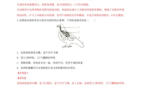 5.1.6鸟（备作业）-（人教版）（解析版）_初中全科电子版试卷练习试题_生物_生物8上练习_人教生物8年级上课时练习37份_第2套八年级生物上册课时练习（人教版）21份