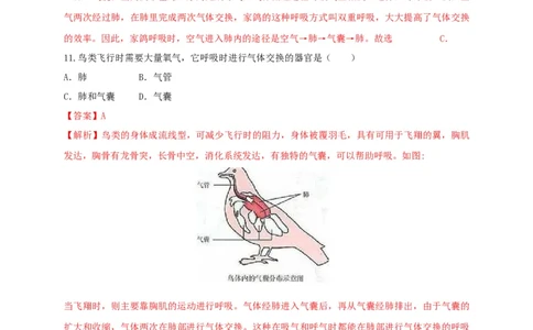 5.1.6鸟（备作业）-（人教版）（解析版）_初中全科电子版试卷练习试题_生物_生物8上练习_人教生物8年级上课时练习37份_第2套八年级生物上册课时练习（人教版）21份