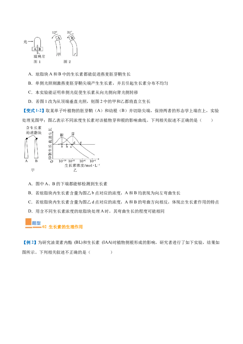 专题15植物生长调节（6大题型）（原卷版）_2025年新高考资料_一轮复习_备战2025年高考生物一轮复习题型全覆盖（新高考通用）