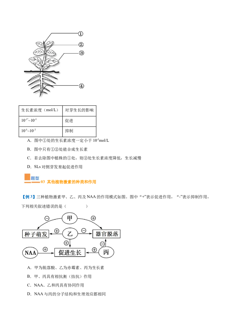 专题15植物生长调节（6大题型）（原卷版）_2025年新高考资料_一轮复习_备战2025年高考生物一轮复习题型全覆盖（新高考通用）