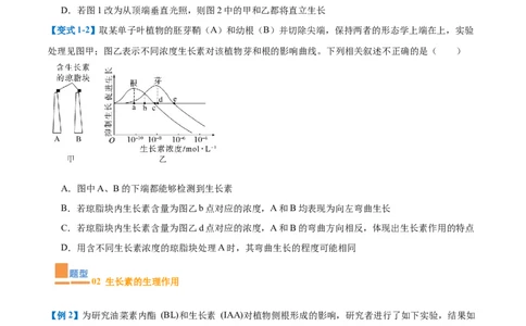 专题15植物生长调节（6大题型）（原卷版）_2025年新高考资料_一轮复习_备战2025年高考生物一轮复习题型全覆盖（新高考通用）