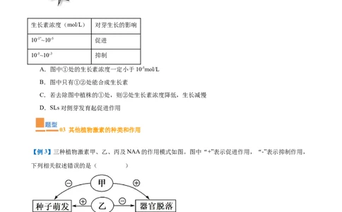 专题15植物生长调节（6大题型）（原卷版）_2025年新高考资料_一轮复习_备战2025年高考生物一轮复习题型全覆盖（新高考通用）