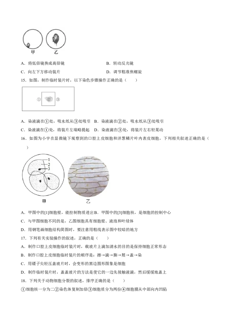 七年级上册人教版期中测试03（原卷版）_初中全科电子版试卷练习试题_生物_生物人教版7上练习&mdash;24新版已更新_人教生物7年级上期中试卷07份