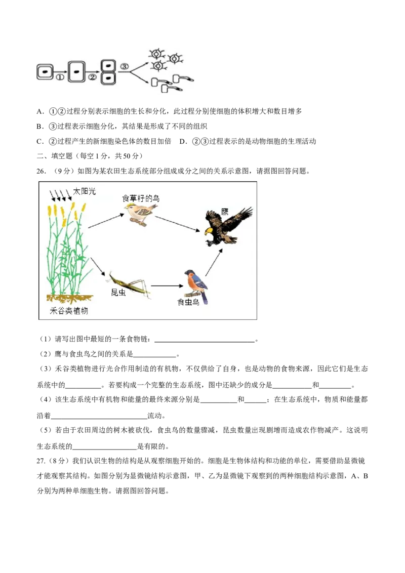七年级上册人教版期中测试03（原卷版）_初中全科电子版试卷练习试题_生物_生物人教版7上练习&mdash;24新版已更新_人教生物7年级上期中试卷07份