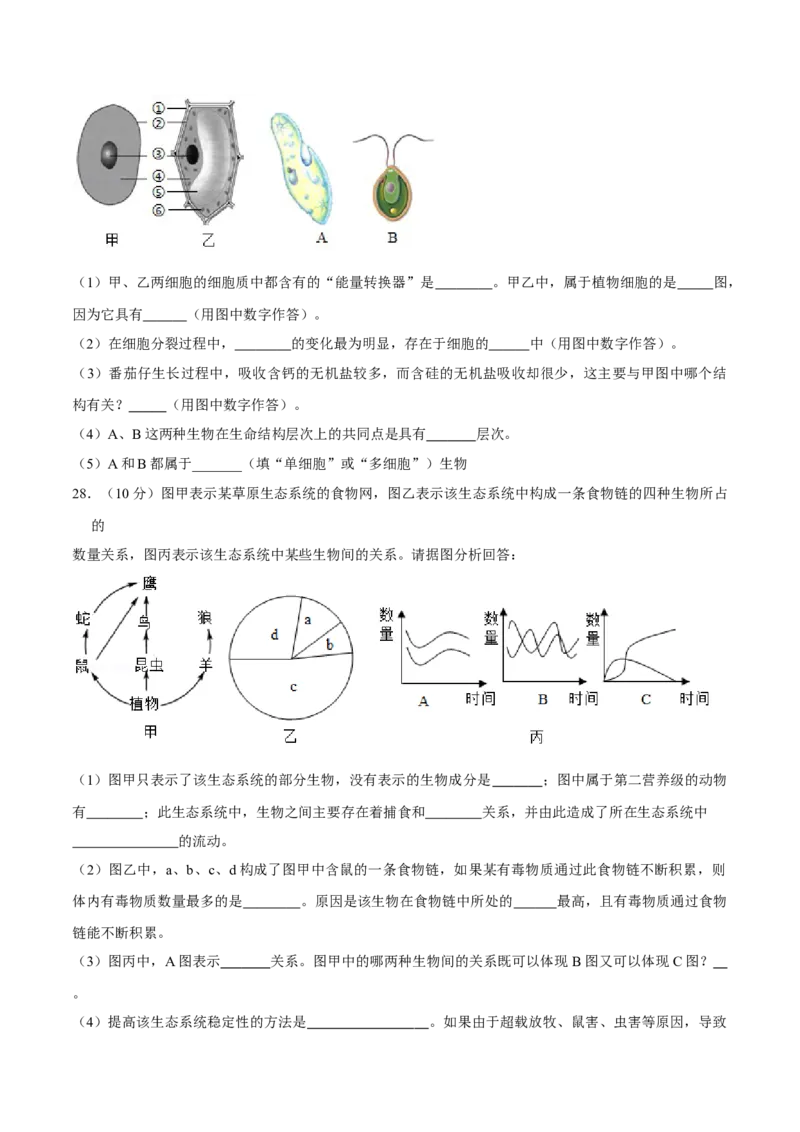 七年级上册人教版期中测试03（原卷版）_初中全科电子版试卷练习试题_生物_生物人教版7上练习&mdash;24新版已更新_人教生物7年级上期中试卷07份