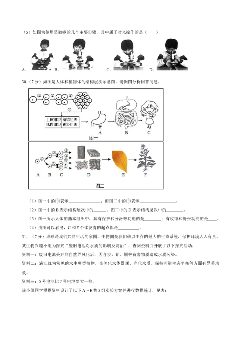 七年级上册人教版期中测试03（原卷版）_初中全科电子版试卷练习试题_生物_生物人教版7上练习&mdash;24新版已更新_人教生物7年级上期中试卷07份