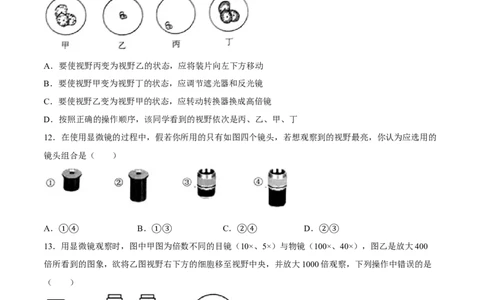 七年级上册人教版期中测试03（原卷版）_初中全科电子版试卷练习试题_生物_生物人教版7上练习&mdash;24新版已更新_人教生物7年级上期中试卷07份