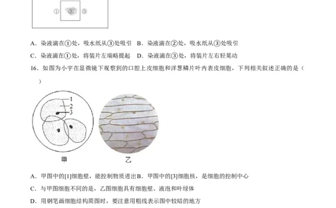 七年级上册人教版期中测试03（原卷版）_初中全科电子版试卷练习试题_生物_生物人教版7上练习&mdash;24新版已更新_人教生物7年级上期中试卷07份