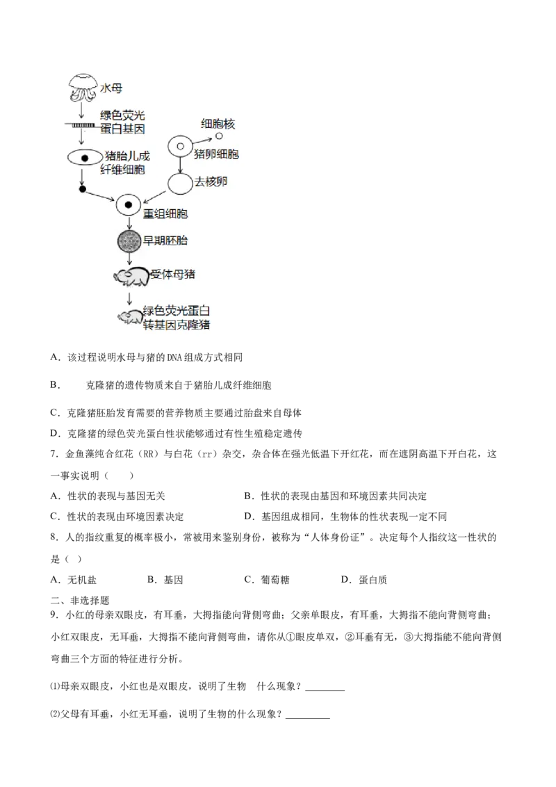 7.2.1基因控制生物的性状（重点练）-（人教版）（原卷版）_初中全科电子版试卷练习试题_生物_生物8下练习_人教生物8年级下课时练习51份
