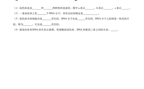 7.2.1基因控制生物的性状（重点练）-（人教版）（原卷版）_初中全科电子版试卷练习试题_生物_生物8下练习_人教生物8年级下课时练习51份
