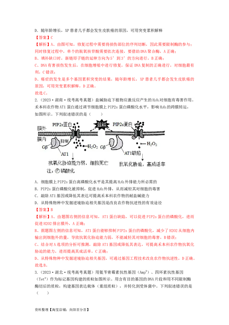 专题32基因工程（串讲）（解析版）_新高考复习资料_2024年新高考复习资料_一轮复习资料_完备战2024年高考生物一轮复习串讲精练（新高考专用）_串讲_解析版