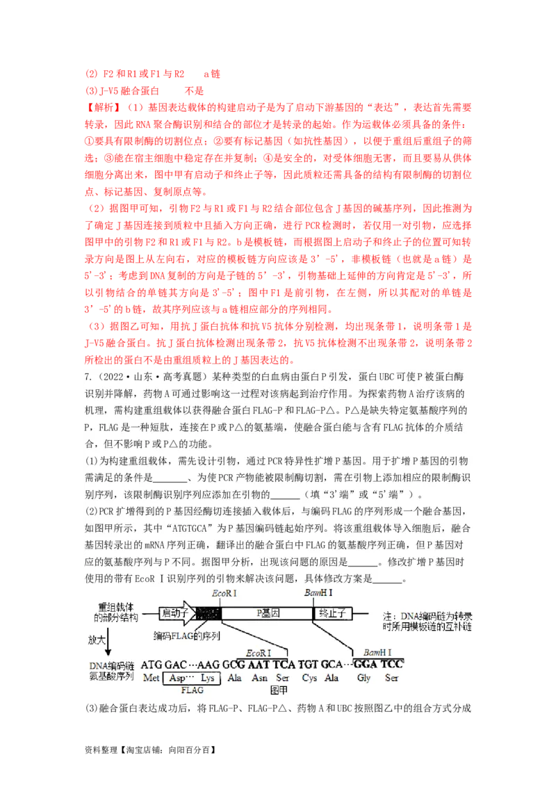 专题32基因工程（串讲）（解析版）_新高考复习资料_2024年新高考复习资料_一轮复习资料_完备战2024年高考生物一轮复习串讲精练（新高考专用）_串讲_解析版