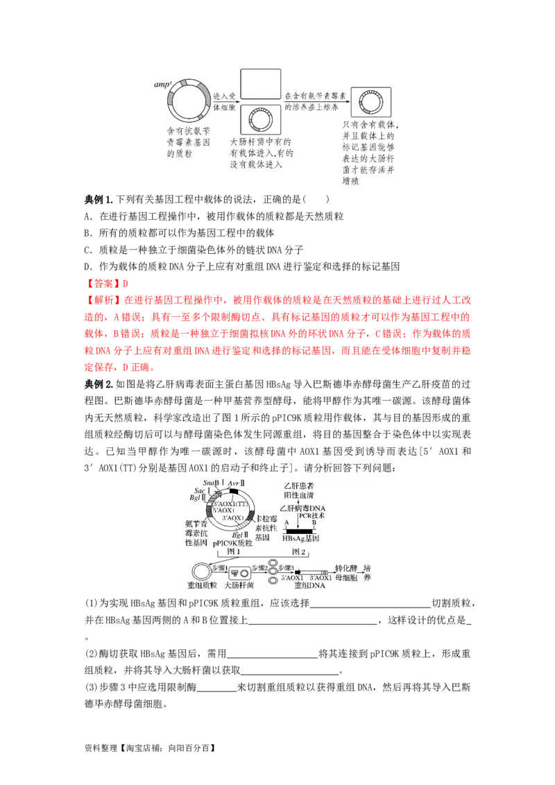 专题32基因工程（串讲）（解析版）_新高考复习资料_2024年新高考复习资料_一轮复习资料_完备战2024年高考生物一轮复习串讲精练（新高考专用）_串讲_解析版