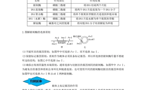 专题32基因工程（串讲）（解析版）_新高考复习资料_2024年新高考复习资料_一轮复习资料_完备战2024年高考生物一轮复习串讲精练（新高考专用）_串讲_解析版