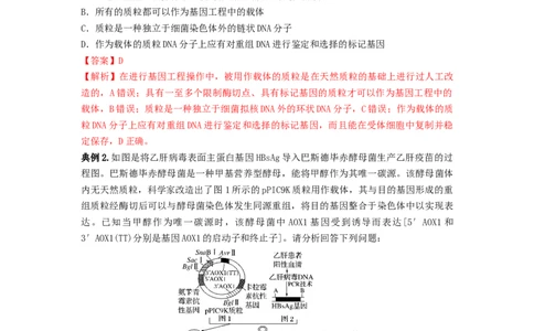 专题32基因工程（串讲）（解析版）_新高考复习资料_2024年新高考复习资料_一轮复习资料_完备战2024年高考生物一轮复习串讲精练（新高考专用）_串讲_解析版