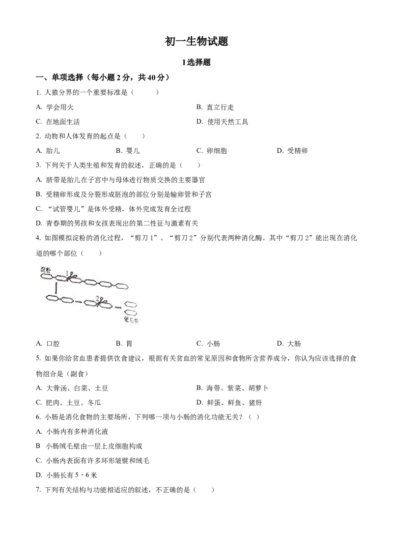 4七年级下学期期中生物试题（原卷版）_初中全科电子版试卷练习试题_生物_生物人教版7下练习_人教生物7年级下期中试卷07份
