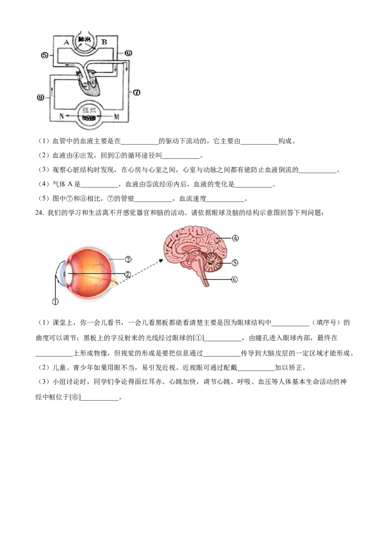 4七年级下学期期中生物试题（原卷版）_初中全科电子版试卷练习试题_生物_生物人教版7下练习_人教生物7年级下期中试卷07份