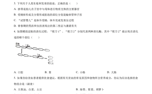 4七年级下学期期中生物试题（原卷版）_初中全科电子版试卷练习试题_生物_生物人教版7下练习_人教生物7年级下期中试卷07份