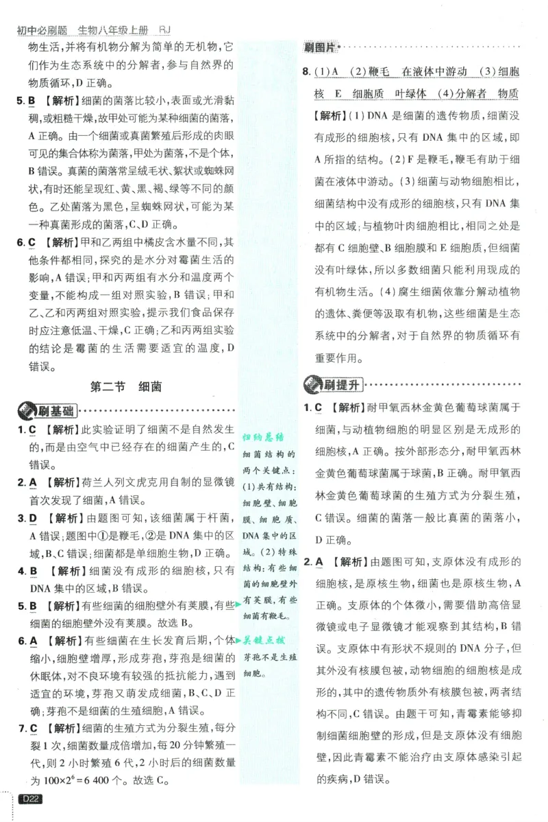 2025版《初中必刷题》生物RJ8上-批注式详答与详析_初中全科电子版试卷练习试题_25初中必刷题_2025版《初中必刷题》生物RJ8上