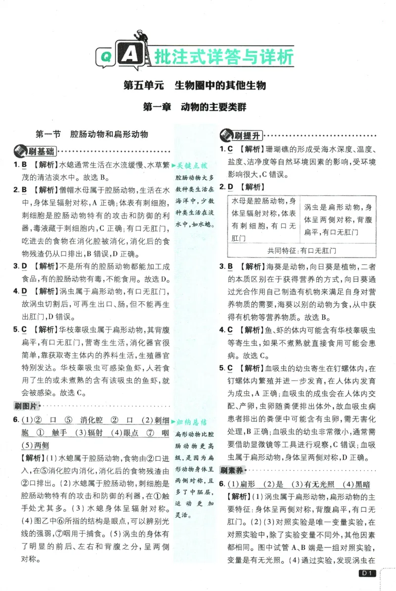 2025版《初中必刷题》生物RJ8上-批注式详答与详析_初中全科电子版试卷练习试题_25初中必刷题_2025版《初中必刷题》生物RJ8上