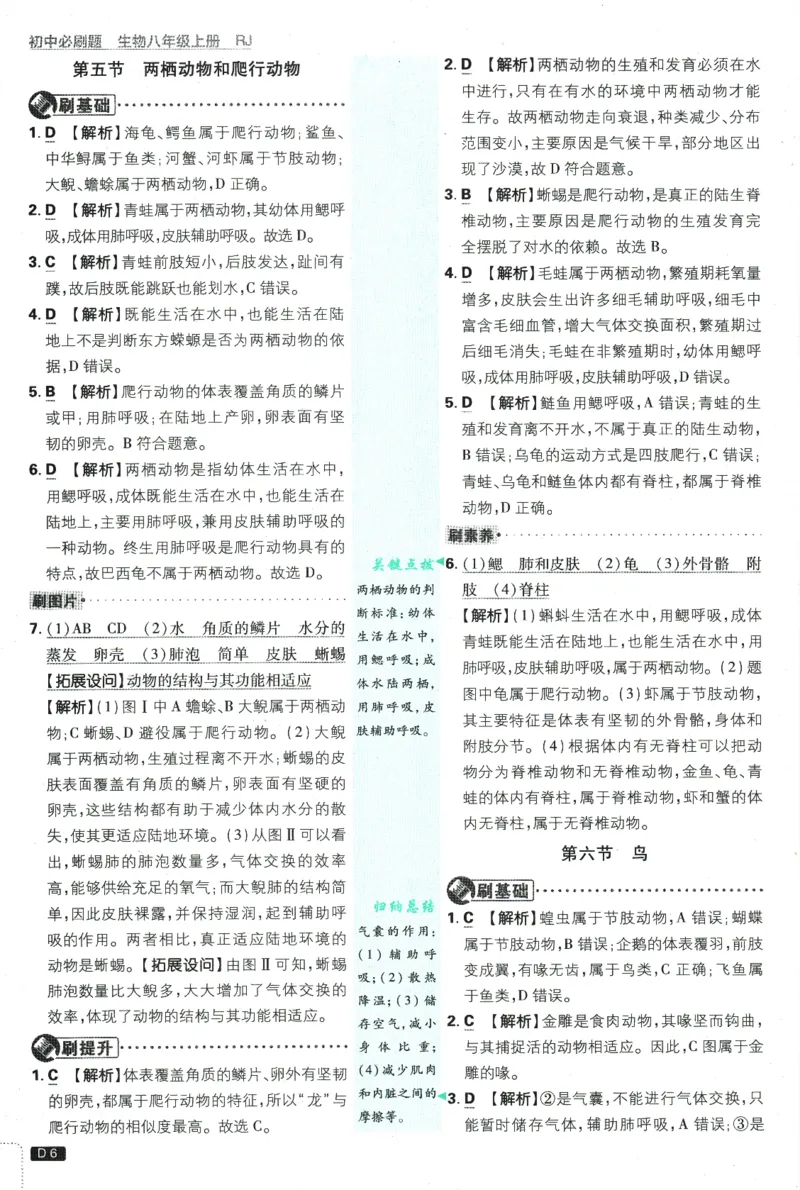 2025版《初中必刷题》生物RJ8上-批注式详答与详析_初中全科电子版试卷练习试题_25初中必刷题_2025版《初中必刷题》生物RJ8上