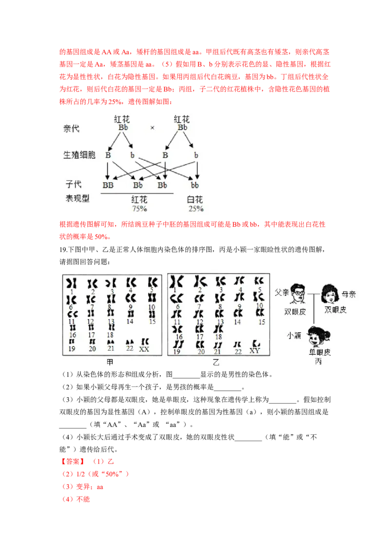 专题07生物的变异（解析版）-2021-2022学年八年级上学期期末复习之重难点突破（人教版）_初中全科电子版试卷练习试题_生物_生物8上练习_人教生物8年级上专项练习23份