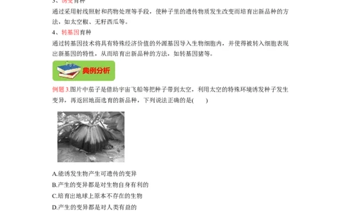 专题07生物的变异（解析版）-2021-2022学年八年级上学期期末复习之重难点突破（人教版）_初中全科电子版试卷练习试题_生物_生物8上练习_人教生物8年级上专项练习23份