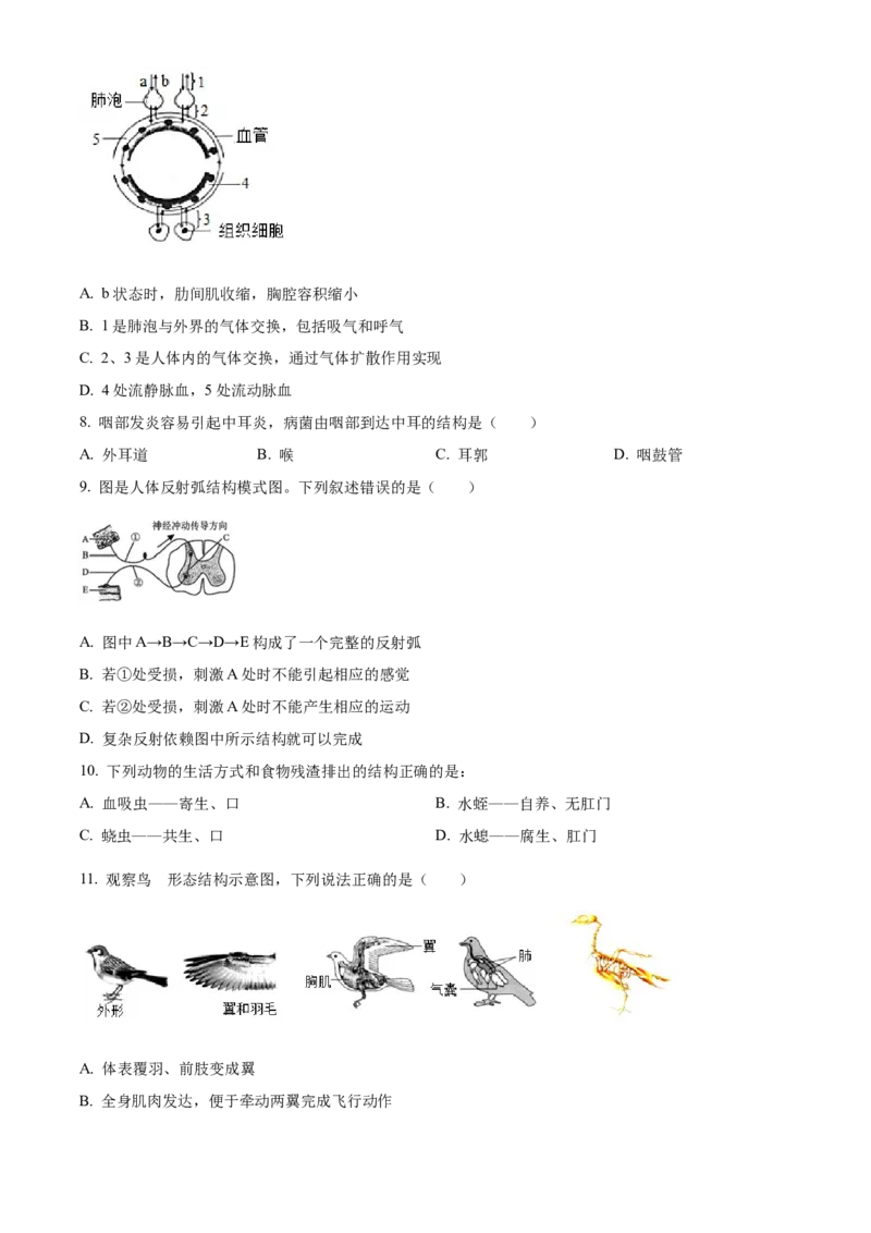 05八年级下学期期末生物试题（原卷版）_初中全科电子版试卷练习试题_生物_生物8下练习_人教生物8年级下期末试卷12份