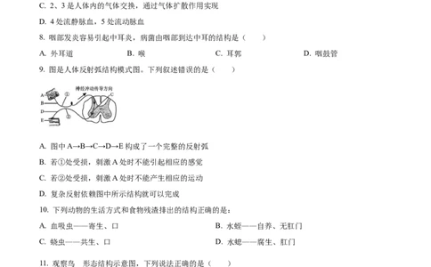 05八年级下学期期末生物试题（原卷版）_初中全科电子版试卷练习试题_生物_生物8下练习_人教生物8年级下期末试卷12份