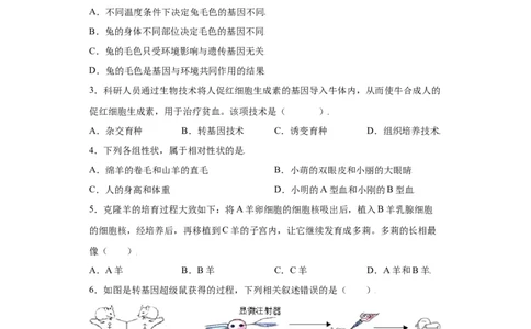 7.2.1基因控制生物的性状（练习）-（人教版）（原卷版）_初中全科电子版试卷练习试题_生物_生物8下练习_人教生物8年级下课时练习51份
