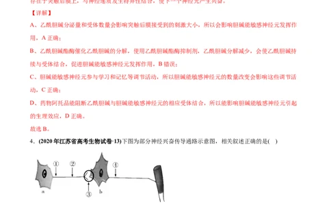 专题14神经调节-2020年高考真题和模拟题生物分项汇编（教师版含解析）_新高考复习资料_2022年新高考复习资料_2022年一轮复习最新版_1.2022年高考生物一轮复习全国通用版