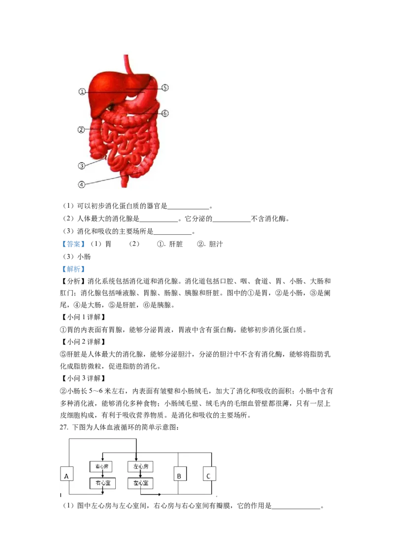 七年级下学期期末学业质量监测生物试题（解析版）_初中全科电子版试卷练习试题_生物_生物人教版7下练习_人教生物7年级下期末试卷11份