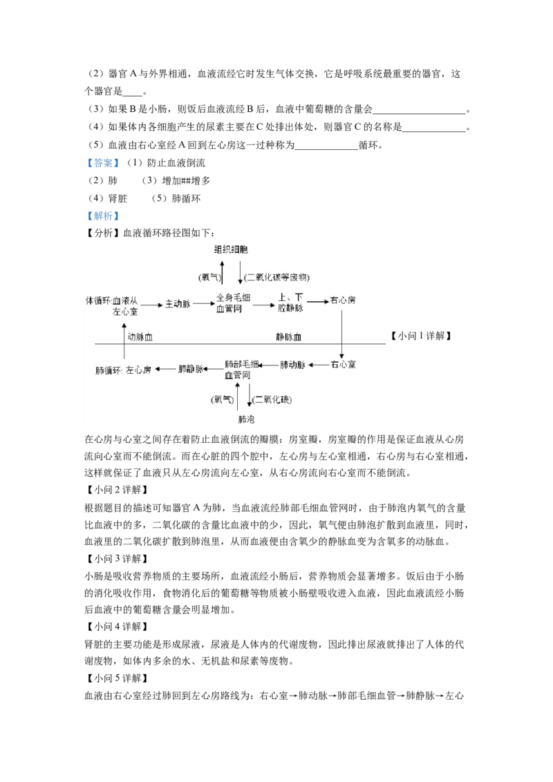 七年级下学期期末学业质量监测生物试题（解析版）_初中全科电子版试卷练习试题_生物_生物人教版7下练习_人教生物7年级下期末试卷11份