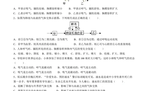 4.3.2发生在肺内的气体交换（原卷版）_初中全科电子版试卷练习试题_生物_生物人教版7下练习_人教生物7年级下课时练习40份_第2套七年级生物下册课时练习（人教版）20份