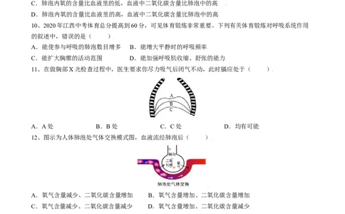 4.3.2发生在肺内的气体交换（原卷版）_初中全科电子版试卷练习试题_生物_生物人教版7下练习_人教生物7年级下课时练习40份_第2套七年级生物下册课时练习（人教版）20份