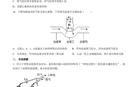 4.3.2发生在肺内的气体交换（原卷版）_初中全科电子版试卷练习试题_生物_生物人教版7下练习_人教生物7年级下课时练习40份_第2套七年级生物下册课时练习（人教版）20份