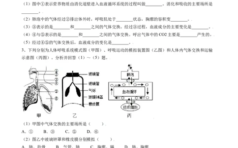 4.3.2发生在肺内的气体交换（原卷版）_初中全科电子版试卷练习试题_生物_生物人教版7下练习_人教生物7年级下课时练习40份_第2套七年级生物下册课时练习（人教版）20份