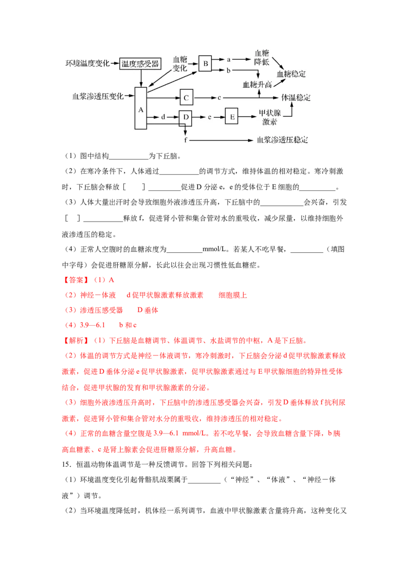 专题24激素调节及其与神经调节的关系（教师版）_新高考复习资料_2023年新高考复习资料_二轮复习_增分要点2023高考生物二轮复习专题解读和分层训练291073137