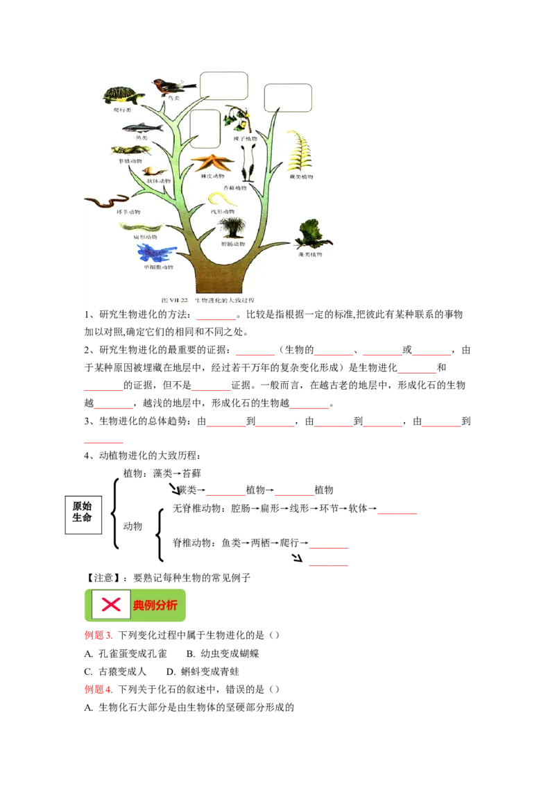 专题08生命起源和生物进化（原卷版）-2021-2022学年八年级上学期期末复习之重难点突破（人教版）_初中全科电子版试卷练习试题_生物_生物8上练习_人教生物8年级上专项练习23份