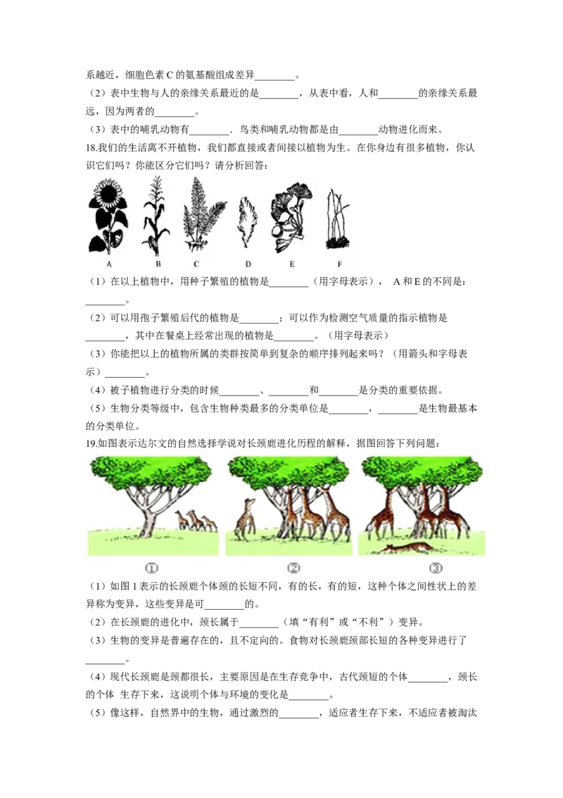 专题08生命起源和生物进化（原卷版）-2021-2022学年八年级上学期期末复习之重难点突破（人教版）_初中全科电子版试卷练习试题_生物_生物8上练习_人教生物8年级上专项练习23份