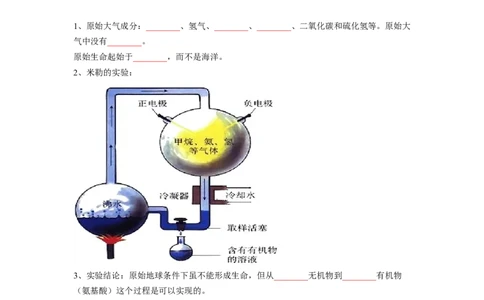 专题08生命起源和生物进化（原卷版）-2021-2022学年八年级上学期期末复习之重难点突破（人教版）_初中全科电子版试卷练习试题_生物_生物8上练习_人教生物8年级上专项练习23份