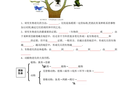 专题08生命起源和生物进化（原卷版）-2021-2022学年八年级上学期期末复习之重难点突破（人教版）_初中全科电子版试卷练习试题_生物_生物8上练习_人教生物8年级上专项练习23份
