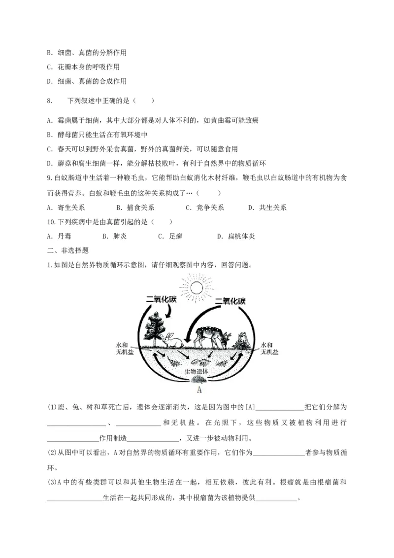 5.4.4细菌和真菌在自然界中的作用（备作业）-（人教版）（原卷版）_初中全科电子版试卷练习试题_生物_生物8上练习_人教生物8年级上课时练习37份