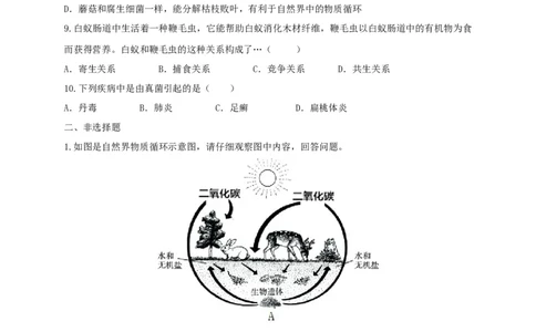 5.4.4细菌和真菌在自然界中的作用（备作业）-（人教版）（原卷版）_初中全科电子版试卷练习试题_生物_生物8上练习_人教生物8年级上课时练习37份