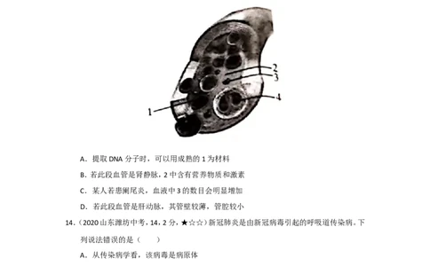 23生物&mdash;&mdash;山东省潍坊市word版，含答案全解全析(1)_山东历年中考真题_山东省历年中考真题2013~2024_初中生物历年真题（2013-2024）
