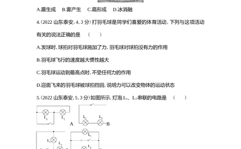 2022泰安物理试卷+答案+解析(word整理版)_山东历年中考真题_山东省历年中考真题2013~2024_初中物理历年真题（2013-2024）